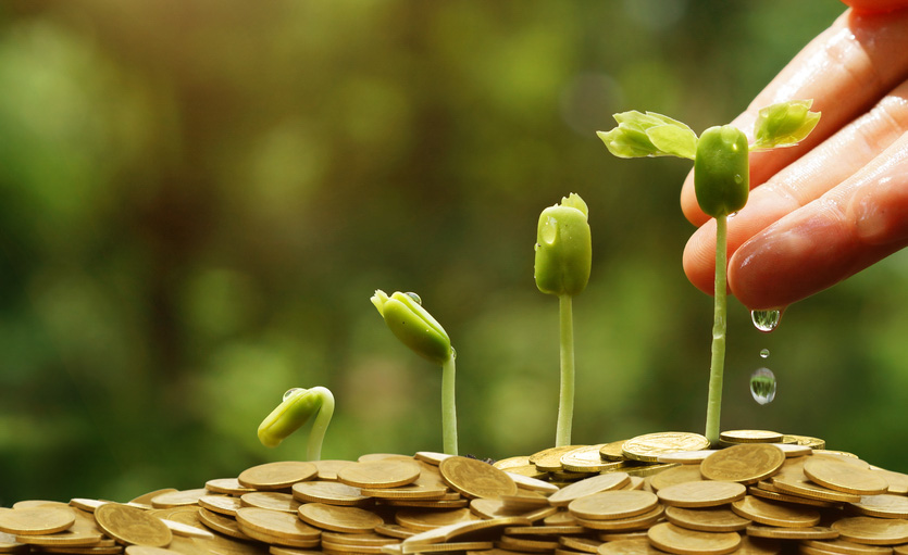 Watering plants growing from coins