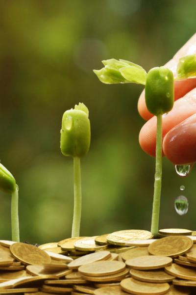 Watering plants growing from coins